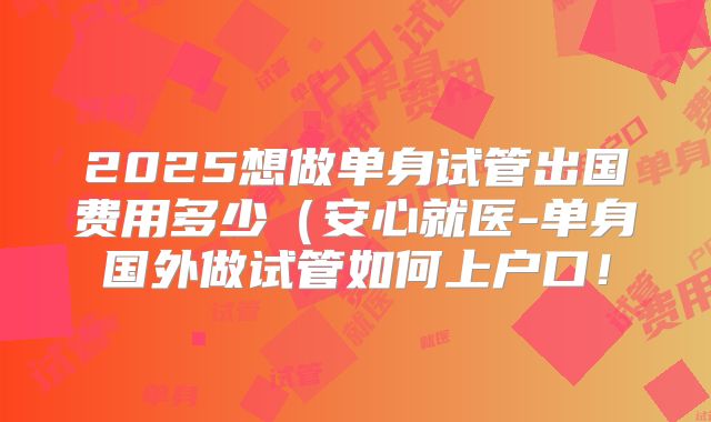 2025想做单身试管出国费用多少（安心就医-单身国外做试管如何上户口！