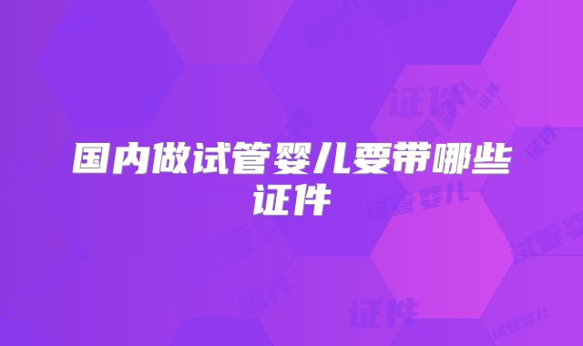 国内做试管婴儿要带哪些证件