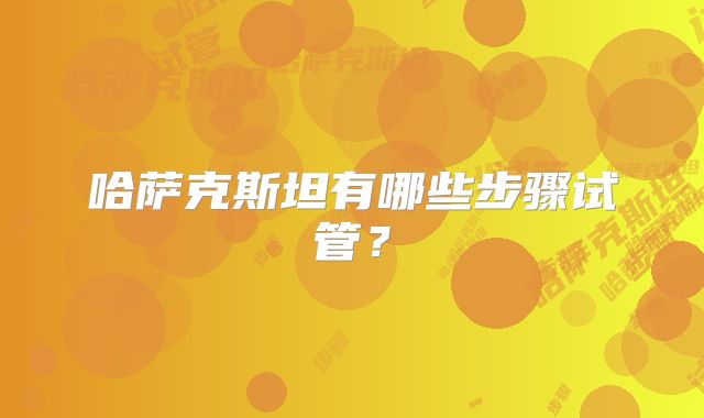 哈萨克斯坦有哪些步骤试管？
