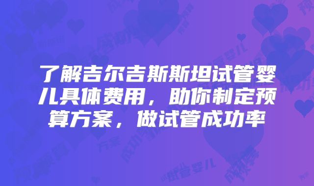 了解吉尔吉斯斯坦试管婴儿具体费用，助你制定预算方案，做试管成功率