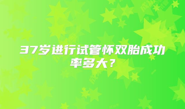 37岁进行试管怀双胎成功率多大?