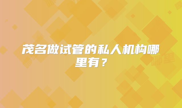 茂名做试管的私人机构哪里有?