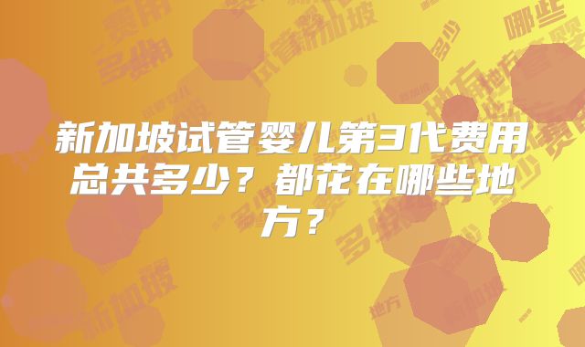 新加坡试管婴儿第3代费用总共多少？都花在哪些地方？