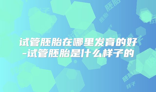 试管胚胎在哪里发育的好-试管胚胎是什么样子的