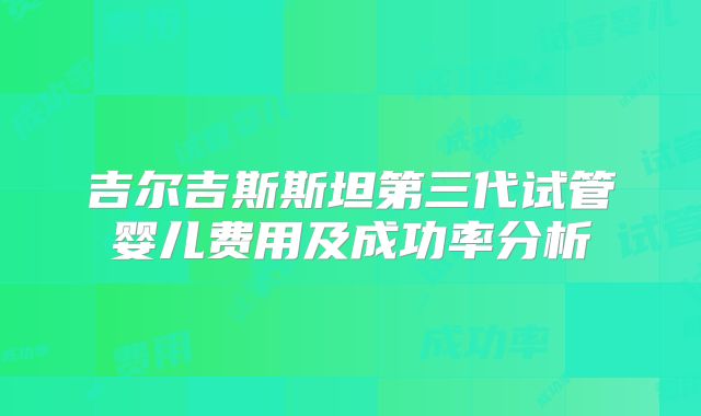 吉尔吉斯斯坦第三代试管婴儿费用及成功率分析