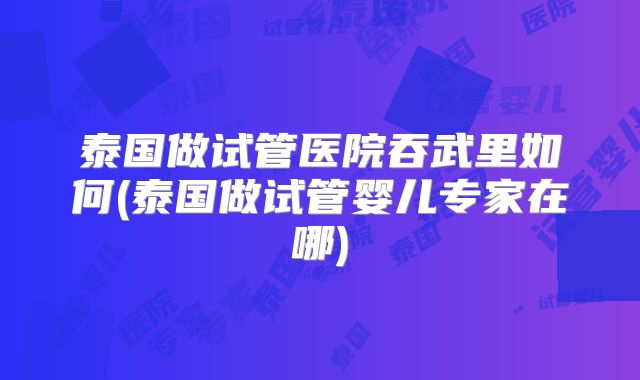 泰国做试管医院吞武里如何(泰国做试管婴儿专家在哪)