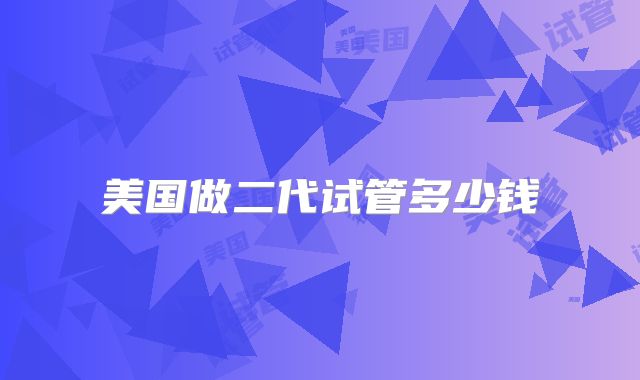 美国做二代试管多少钱