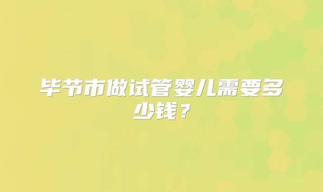 毕节市做试管婴儿需要多少钱？