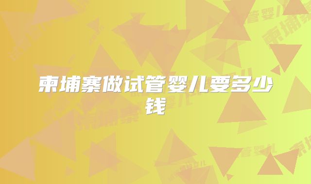 柬埔寨做试管婴儿要多少钱
