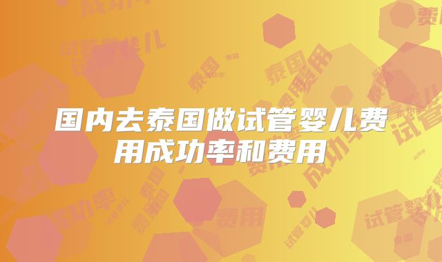 国内去泰国做试管婴儿费用成功率和费用