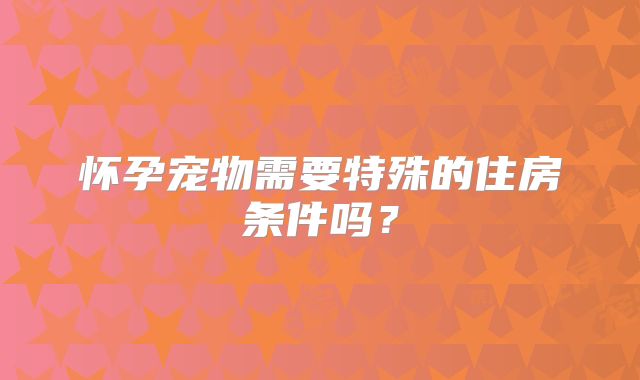 怀孕宠物需要特殊的住房条件吗？