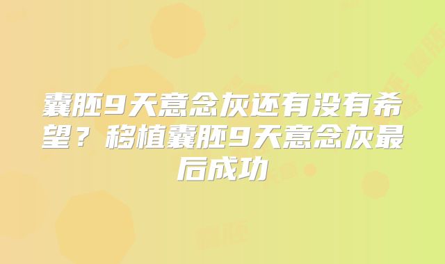 囊胚9天意念灰还有没有希望?移植囊胚9天意念灰最后成功