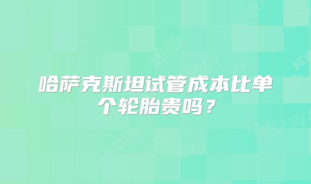 哈萨克斯坦试管成本比单个轮胎贵吗？