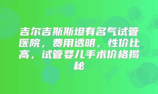 吉尔吉斯斯坦有名气试管医院，费用透明，性价比高，试管婴儿手术价格揭秘