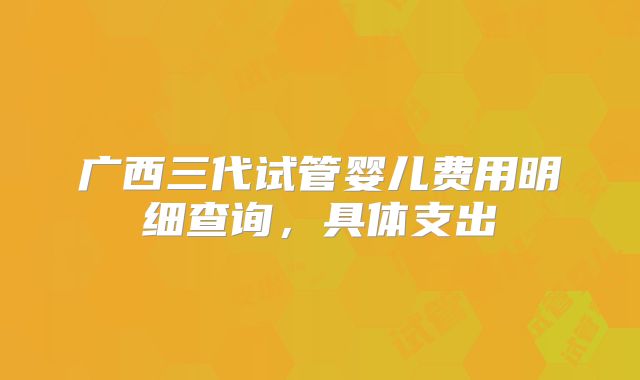广西三代试管婴儿费用明细查询，具体支出