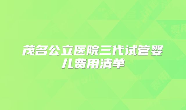 茂名公立医院三代试管婴儿费用清单