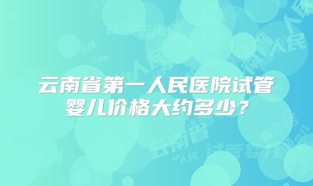 云南省第一人民医院试管婴儿价格大约多少？