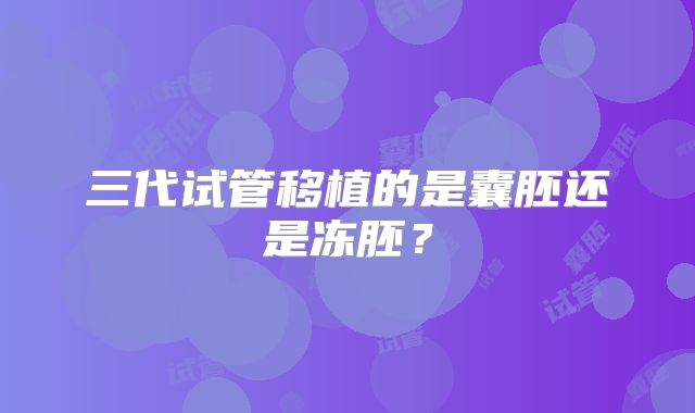 三代试管移植的是囊胚还是冻胚？