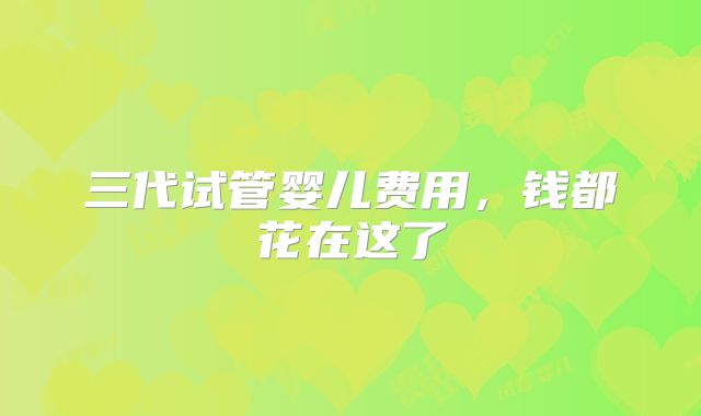 三代试管婴儿费用,钱都花在这了