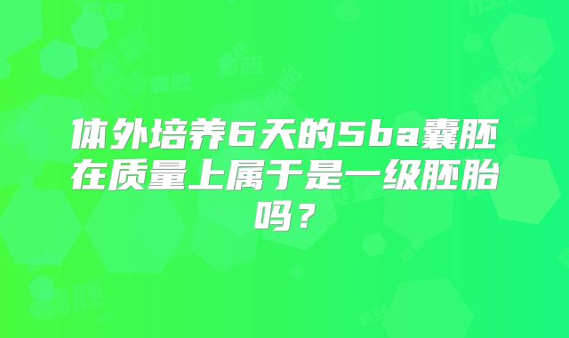 体外培养6天的5ba囊胚在质量上属于是一级胚胎吗?