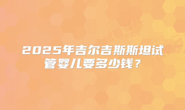 2025年吉尔吉斯斯坦试管婴儿要多少钱?