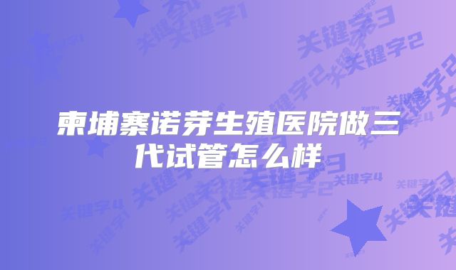 柬埔寨诺芽生殖医院做三代试管怎么样