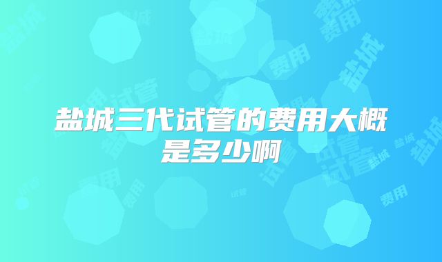 盐城三代试管的费用大概是多少啊
