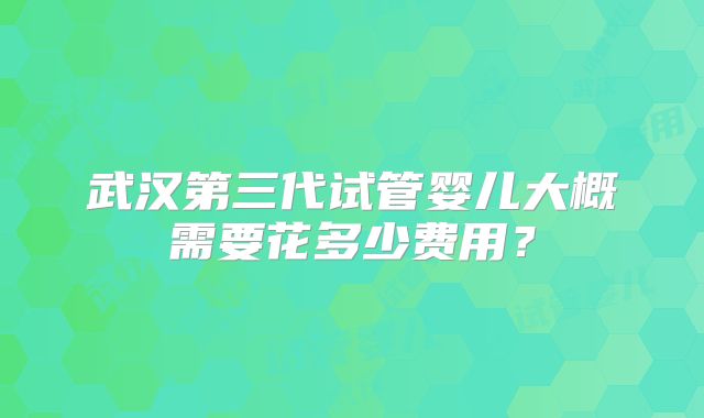武汉第三代试管婴儿大概需要花多少费用？