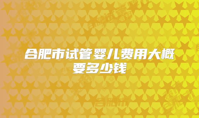 合肥市试管婴儿费用大概要多少钱