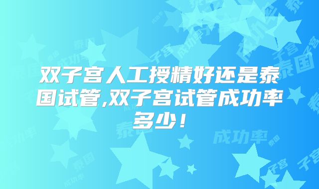 双子宫人工授精好还是泰国试管,双子宫试管成功率多少!