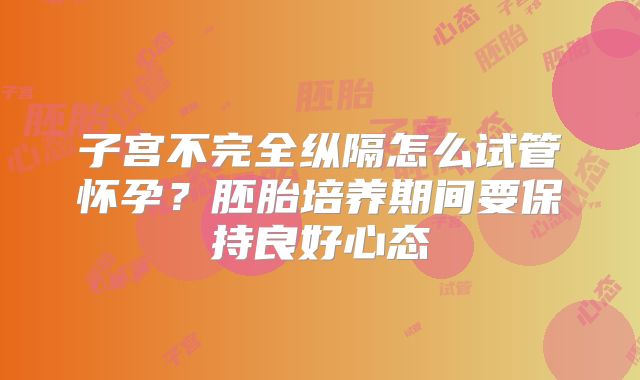 子宫不完全纵隔怎么试管怀孕?胚胎培养期间要保持良好心态