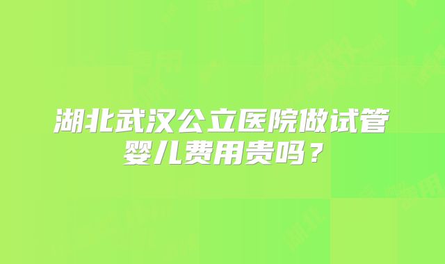 湖北武汉公立医院做试管婴儿费用贵吗？