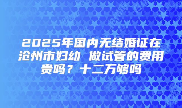 2025年国内无结婚证在沧州市妇幼 做试管的费用贵吗？十二万够吗