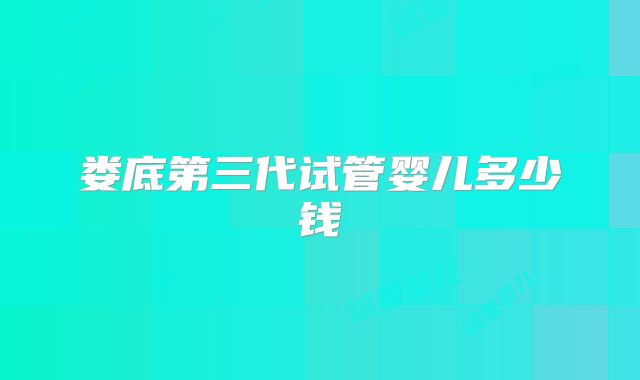 娄底第三代试管婴儿多少钱