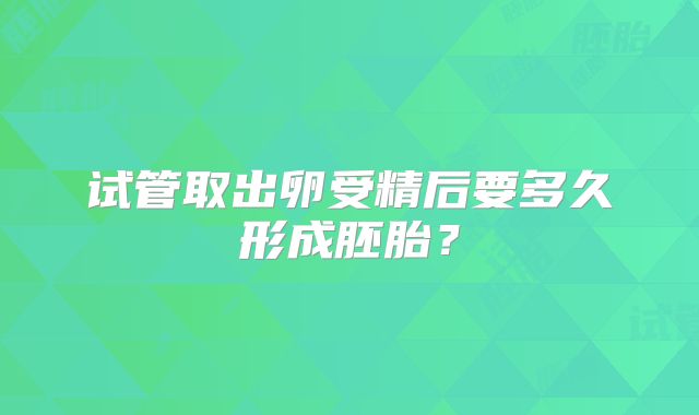 试管取出卵受精后要多久形成胚胎？