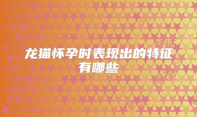 龙猫怀孕时表现出的特征有哪些