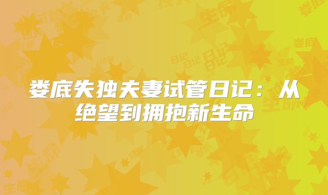 娄底失独夫妻试管日记：从绝望到拥抱新生命