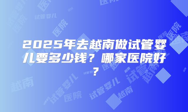 2025年去越南做试管婴儿要多少钱？哪家医院好？