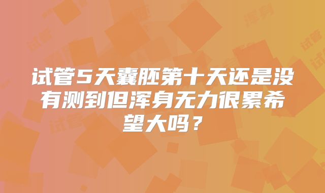 试管5天囊胚第十天还是没有测到但浑身无力很累希望大吗？
