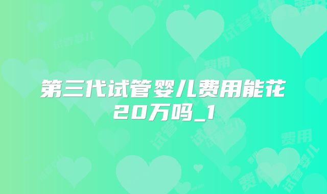 第三代试管婴儿费用能花20万吗_1