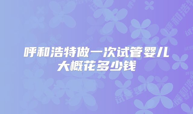 呼和浩特做一次试管婴儿大概花多少钱