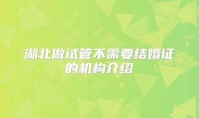 湖北做试管不需要结婚证的机构介绍