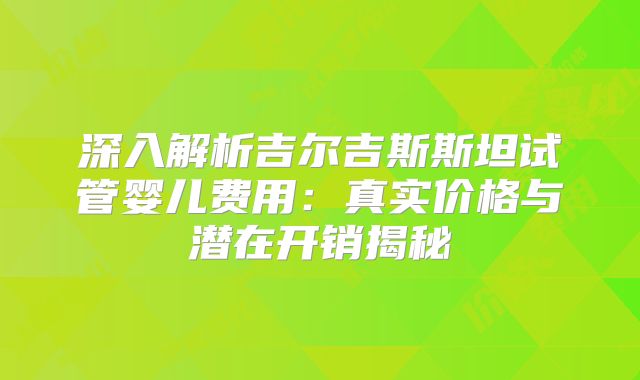 深入解析吉尔吉斯斯坦试管婴儿费用：真实价格与潜在开销揭秘