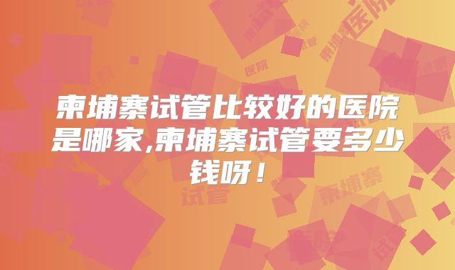 柬埔寨试管比较好的医院是哪家,柬埔寨试管要多少钱呀！