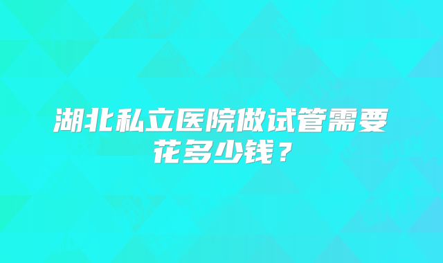 湖北私立医院做试管需要花多少钱?