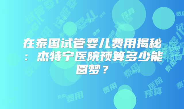 在泰国试管婴儿费用揭秘：杰特宁医院预算多少能圆梦？