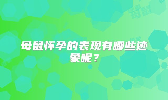 母鼠怀孕的表现有哪些迹象呢？