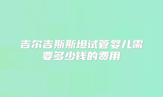 吉尔吉斯斯坦试管婴儿需要多少钱的费用
