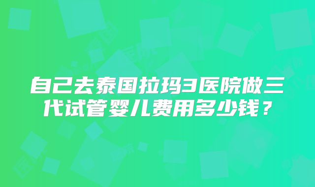 自己去泰国拉玛3医院做三代试管婴儿费用多少钱？