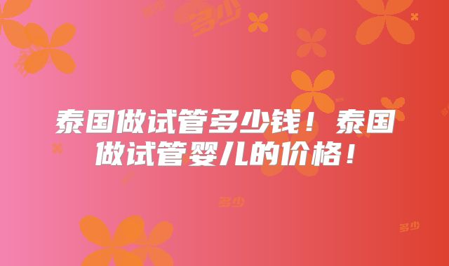 泰国做试管多少钱！泰国做试管婴儿的价格！